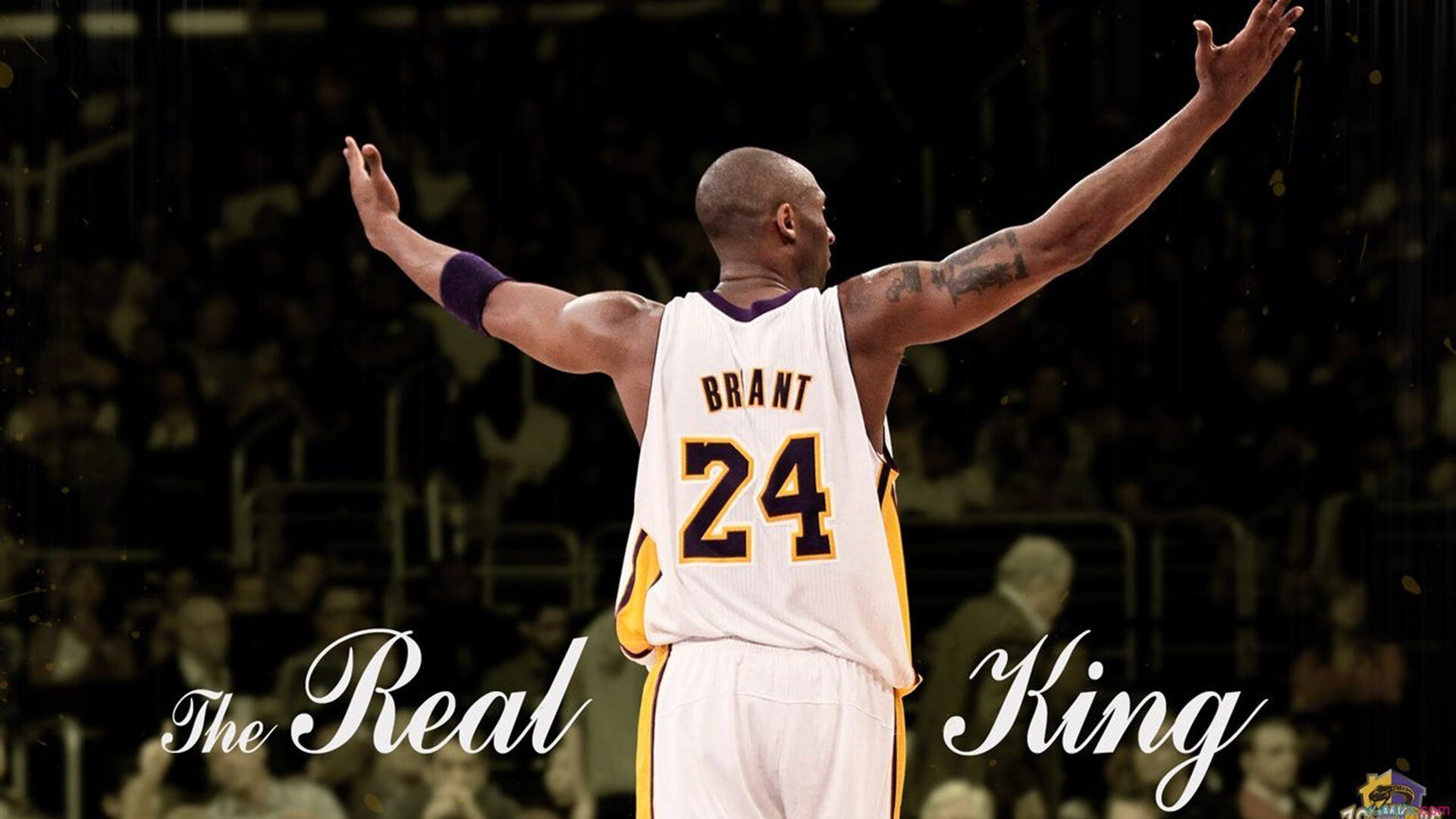 青少年体育运动参与对社会适应性的影响,青少年参加体育运动有哪些作用