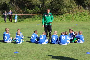 开云娱乐官网-中国篮球教练员战术创新能力培养机制，篮球训练教练简介